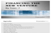 20630760 Financing the New Venture