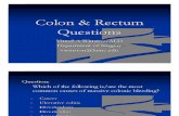 Colon & Rectum Questions Aug 2008