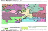 Redistricting Maps Packet