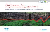 Pathways for Implementing REDD+