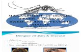 Management of Dengue Fever & Dengue H'Gic Fever in Adult