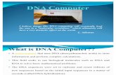 New DNA Computer
