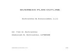 Business Plan - Schramko & Associates, LLC 2009