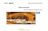 Revue de presse de l'album "Namaste" de Christophe Wallemme (BEE016)