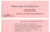 Renal Failure (1)