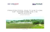 Protected Cultivation of Vegetables in Moldova Report