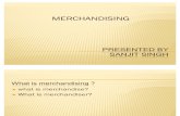 Merchandiser (2)