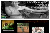 Impacts of Wildlife Trade to Humans_EN_15Mar10