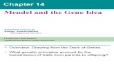 Chapter 14 Mendel & the Gene Idea (2005)