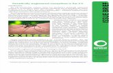 Issue Brief GE Mosquitoes in U