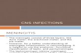 CNS Infections 2003