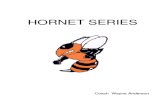 Hornet Single Back Offense by Wayne Anderson
