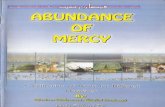 Abundance of Mercy