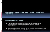Organization of the Sales Force