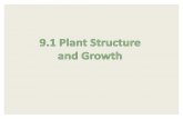 Topic 9.1 Plant Structure