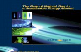 Brochure on the Role of Natural Gas in a Sustainable Energy Market