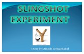 Slingshot Experiment
