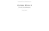 2195 Crim Pro I Outline