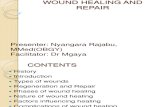 Wound Healing and Repair