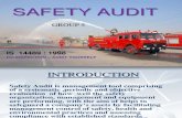 Safety Audit Ppt Representation (2)