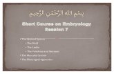 Embryology Course - Session 7
