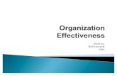 Organization Effectiveness NIDHI (1)