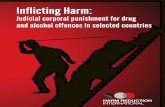 IHRA Corporal Punishment Report Web