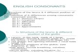 NHA1 - Consonants Plosives