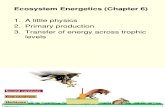 16 - Ecosystem Energetics