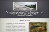 Anatomy and Pathology of the Achilles Tendon Tracy MacNair (1)