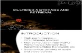 Multimedia Storage and Retrieval