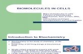 Bio Molecules in Cells