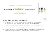 2Animal & Human Language