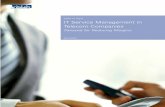 IT Service Management in Telecom Companies - Panacea for Reducing Margins