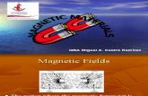 19665729 Magnetic Materials