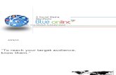 Blue Online Communications