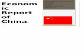 Economic Report of China-Shi Ting, Liang