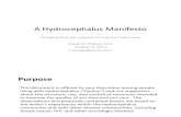 A Hydrocephalus Manifesto