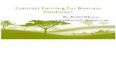 Biomass Contract Farming