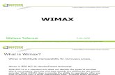 2009 New Presentation on Wimax