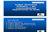Indian Chemical Industry_2011