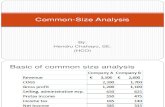 Common-Size Analysis 2
