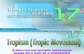 Growth Response in Plants