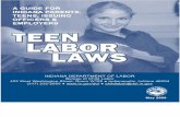 Teen Labor Laws 2009