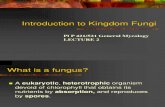 Lecture 2 Intro to Kingdom Fungi