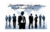 Productivity and Profitability Hardcopy