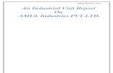 Amul Industr-BBA-MBA Project Report