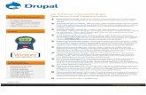 Reasons to Choose Drupal