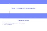 Ms Projects Basics