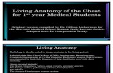 Living  Anatomy of  the Chest.   Dr. Gilliam  Lieberman   Harvard  Medical  School